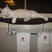 Laurie McRae's photo