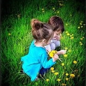 Andy Royer's photo