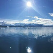 Richard Odom's photo