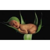 Anya Smil's photo