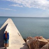 Dan Mardale's photo