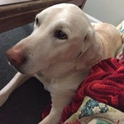 Brennan Thornton's photo