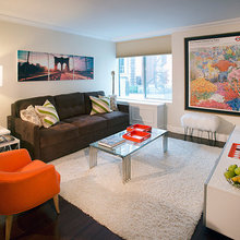 Living Room Ideas