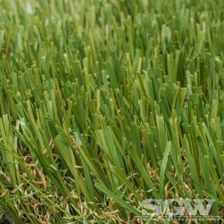 Diamond Pro Fescue - Products