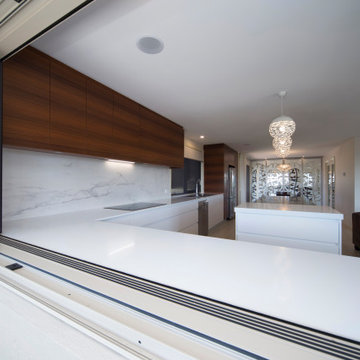 Modern Minimalist Kitchen/Dining/Outdoor