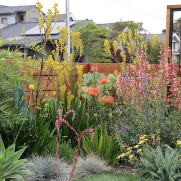 Santa Cruz Sustainable