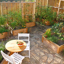 raised beds