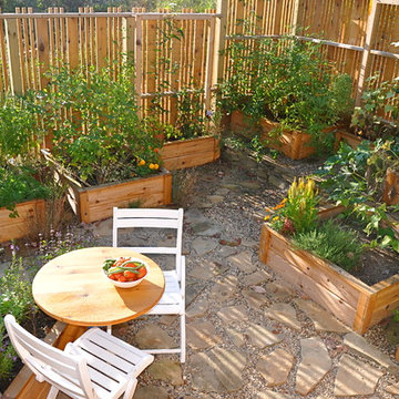Garden & Raised Bed Design
