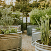 farmhouse landscaping