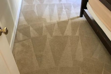 Carpet Cleaning in Boston, MA