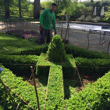 Boxwood Parterre