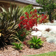Landscape Architects