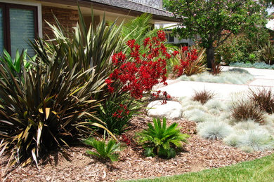 Design ideas for a large mediterranean front yard partial sun xeriscape in Los Angeles with brick pavers.