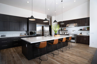 Trendy kitchen photo in Other