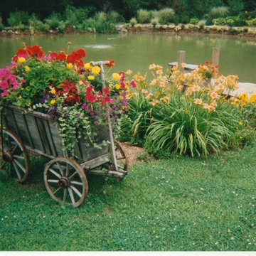 Patios & Gardens