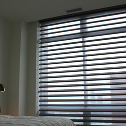 Hunter Douglas Pirouettes - Chicago - Window Treatments