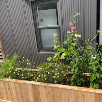 Manhattan Roof Garden