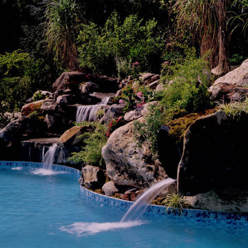 44' x 24' Freeform Pool