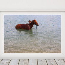 Boy bathing a horse in river, Galinhos - RN, Brazil. Downloadable Insta