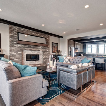The Vivo Showhome in Harmony