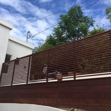 Modern IPE backyard - Santa Monica
