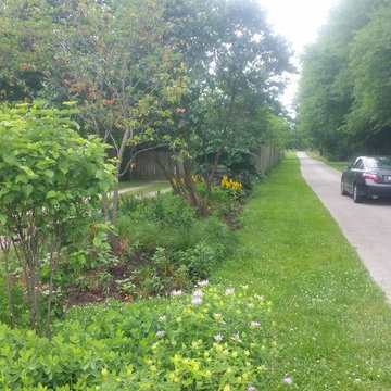 sycamore native driveway
