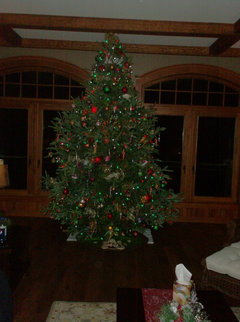 Christmas Trees Without Ornaments poll: tinsel - yes or no? Christmas Trees Without Ornaments poll: tinsel - yes or no?