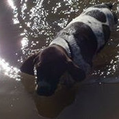 Karen Runchel's photo