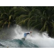 Mark Ratcliffe's photo