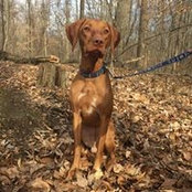 Foto von Jenni Renner