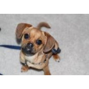Judy Galeano's photo