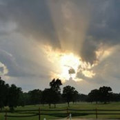 Tracey Robertson's photo