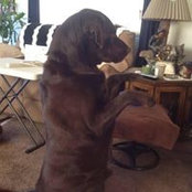 June Kalloch's photo