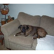 Vicci Lynch's photo