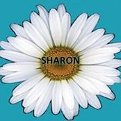 Foto von Shern Stroud