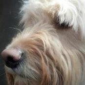 Kelly Farrell-Werder's photo