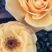 Fer Pareja's photo