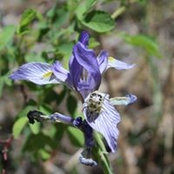Debra Slater's photo