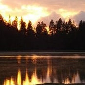 Colleen Kennedy's photo