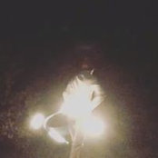 Wes Davis's photo