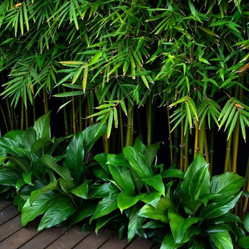 Annandale - Garden + Spa