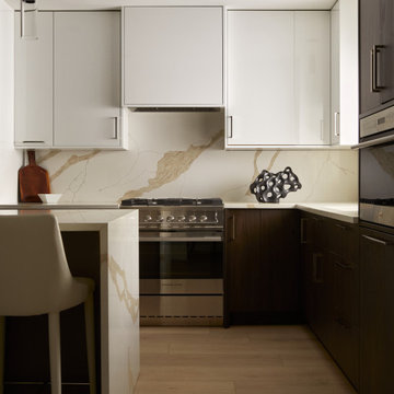 Society Hill Townhouse Kitchen
