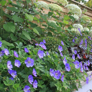 Hampstead Small Garden