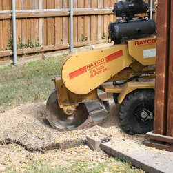 cut down a damaged tree service - Home Improvement