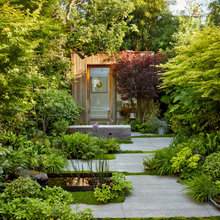 backyard and landscaping