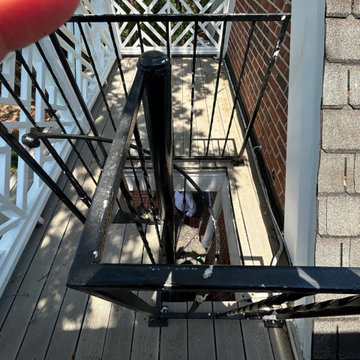 Accessibility Lift Palm Ceia