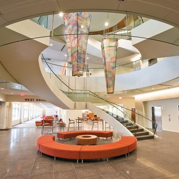 Ceiling Sculpture for Health Facility Lobby
