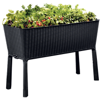 Keter Easy Grow Elevated Resin Rattan Garden Bed, Anthracite