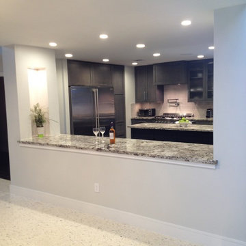 Willowbrook Kitchen Remodel