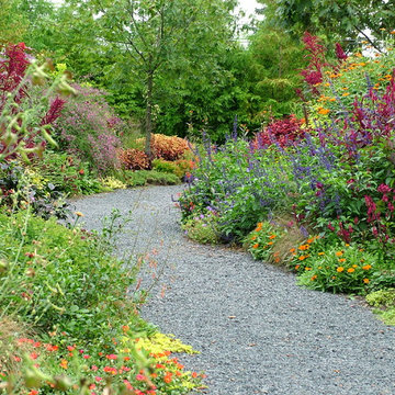 Deer Resistant Garden